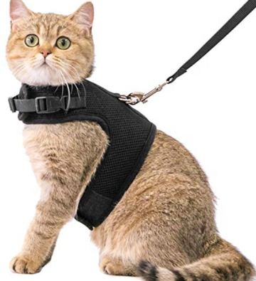 Pet Cat harness adjustable with leash