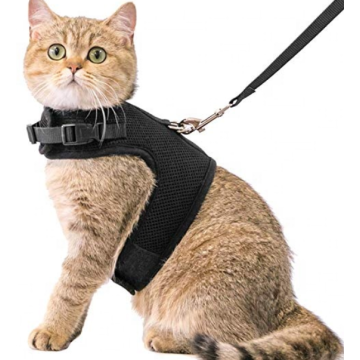 Imbracatura del gatto dell&#39;animale domestico regolabile con il guinzaglio