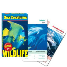 Children educational custom game card printing