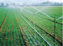 Portable Sprinkler Irrigation System