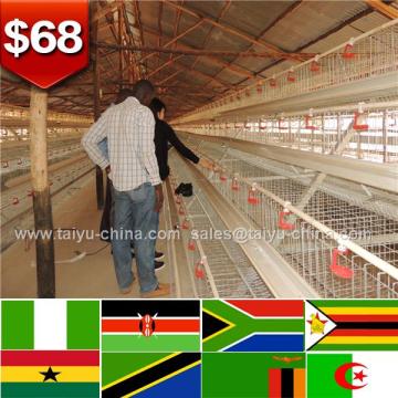 Trade assurance NO.1 Stong steel feed trough 96 birds 120 birds equipment for poultry for sale