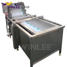 Automatic Water Bubble Washing Machine for Fruit Cleaning - Mango Washer