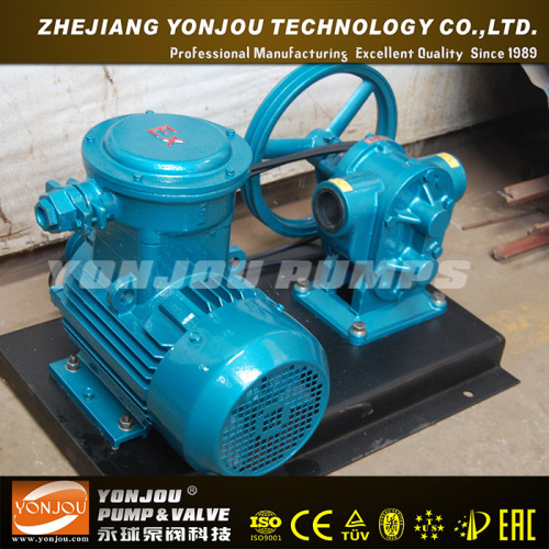 2CY Stainless Steel Food Grade Oil Gear Pump with Bronze Gear