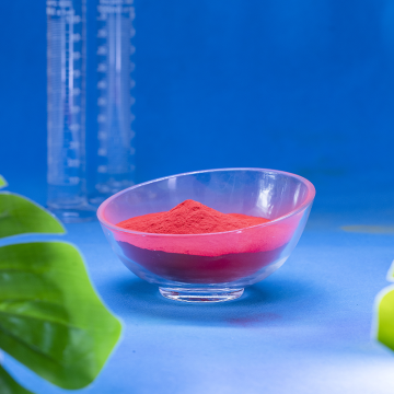 Natural Gas Pipeline Anti - Corrosion Powder Coating