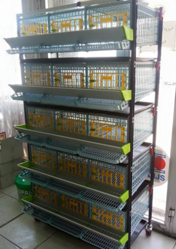 Poultry Cage For Layer Farm Quail Cages