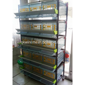 China Kandang Quail Dilas Galvanis Terbaik Dijual Untuk Unggas Kualitas Tinggi Kandang Quail Dilas Galvanis Terbaik Dijual Untuk Unggas Di Bossgoo Com
