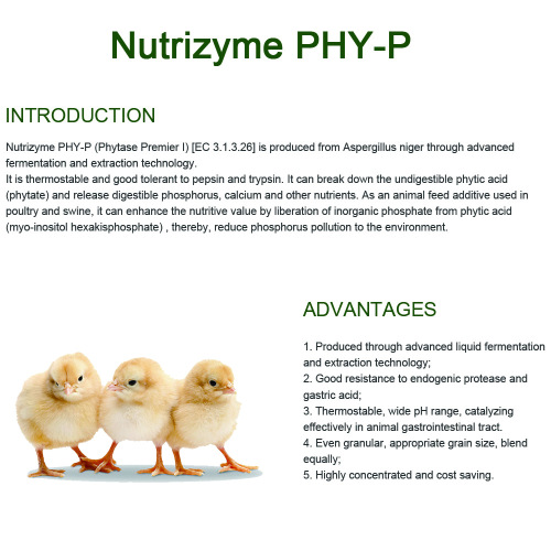 Phytase có thể điều chỉnh nhiệt và protease cho thức ăn