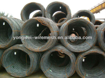 Wire rod