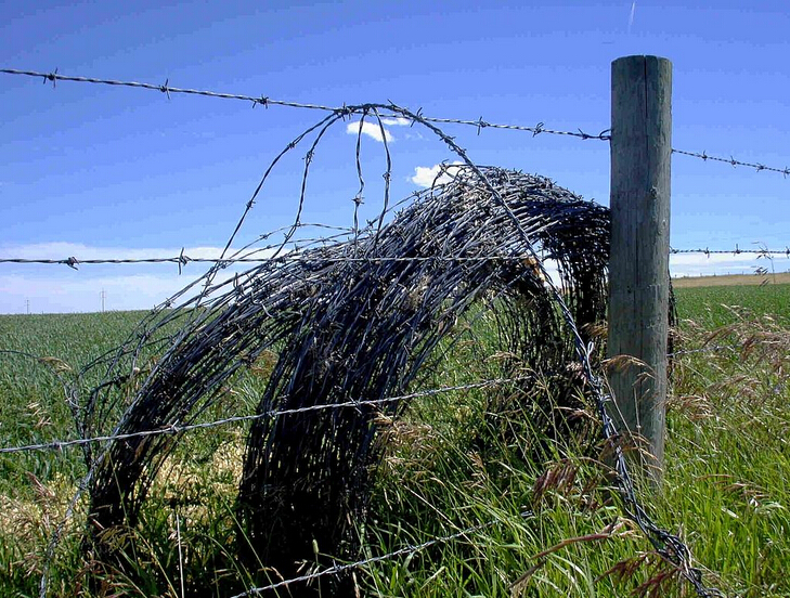 barbed wire (14)