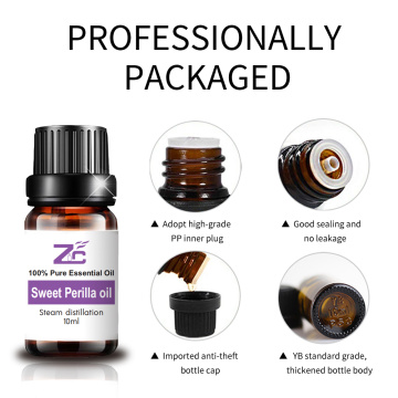 Pure organic sweet perilla essential oil bulk price