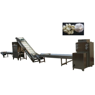 Best Price Garlic Processing Line / Garlic Powder Plant