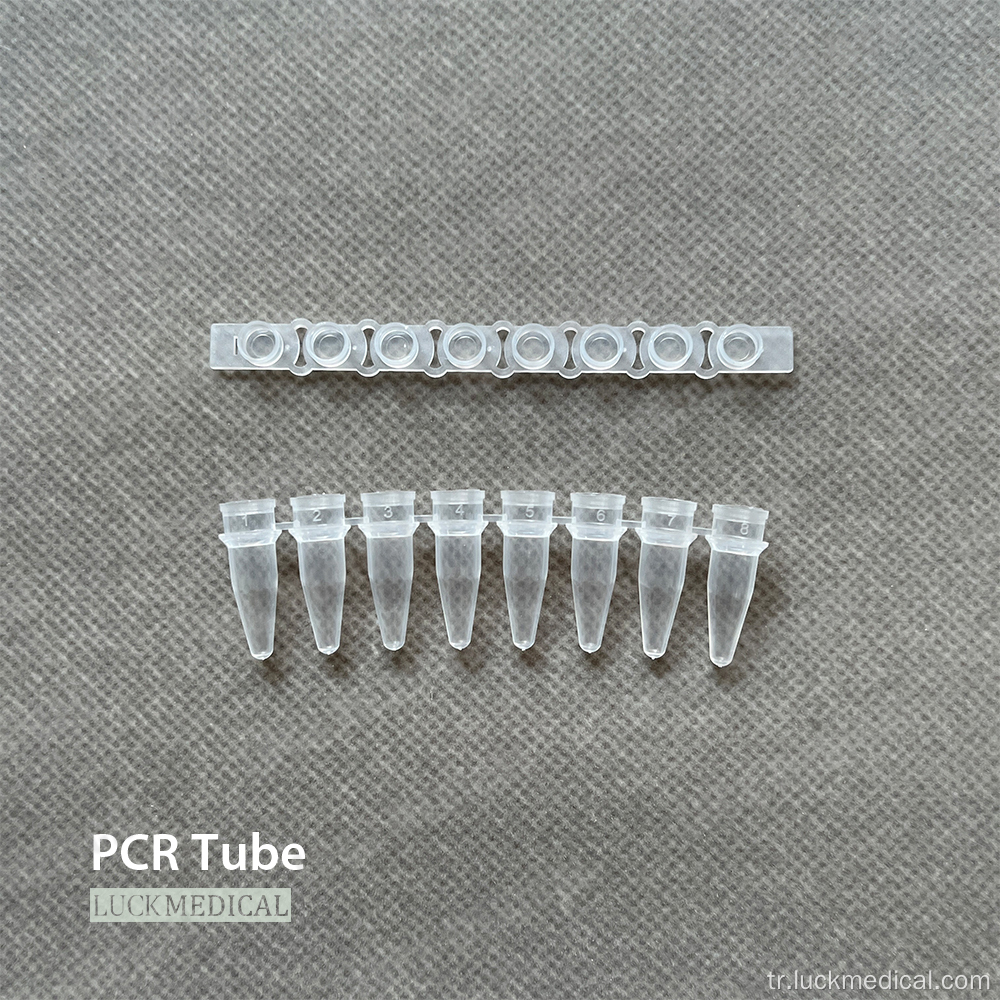 Tek kullanımlık plastik 8 tüp şeridi PCR