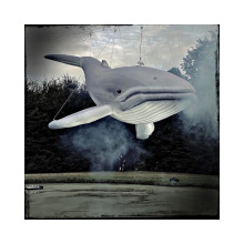 Wholesale Giant Inflatable Tropical Fish Decorations with LED Lights