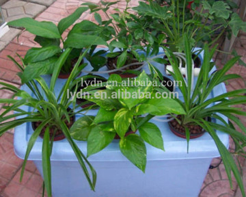 1-3 mm small potting soil for seeding peat soil with nutrient