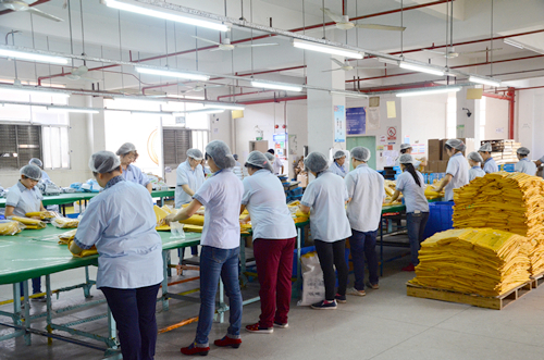 Swimming Pool Lounges Factory