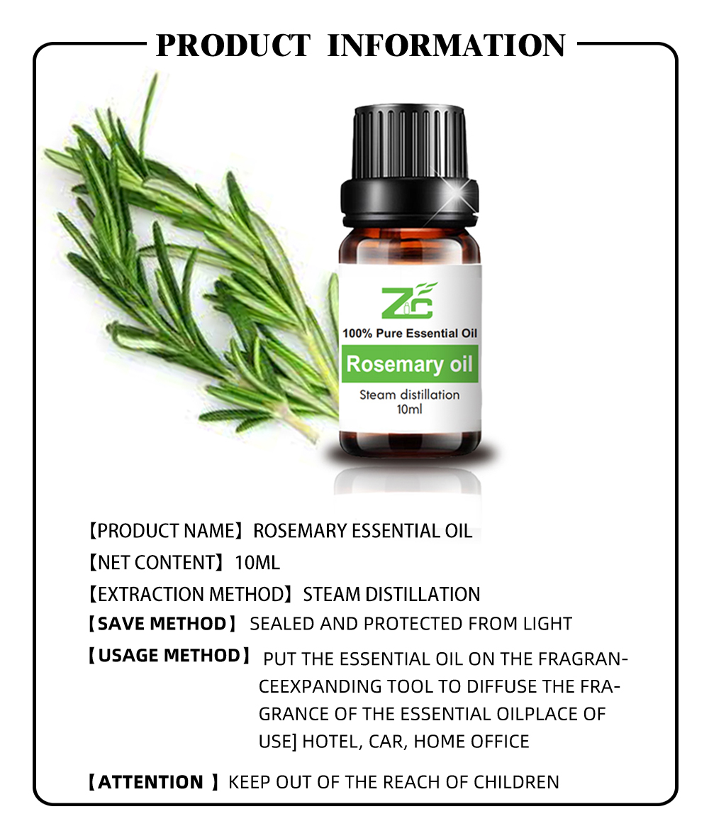 Planta orgánica Pure Rosemary Essential Oil