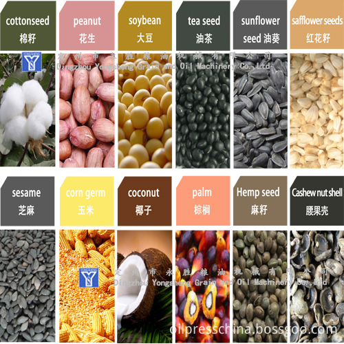 various oil bearing seeds