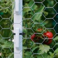 Γαλβανισμένο εξαγωνικό καλώδιο για φράχτη ή κλουβί πουλιών