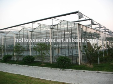 wholesale strawberry greenhouse