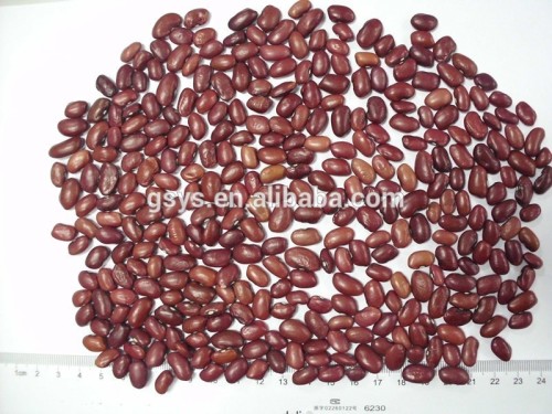 small red kidney bean