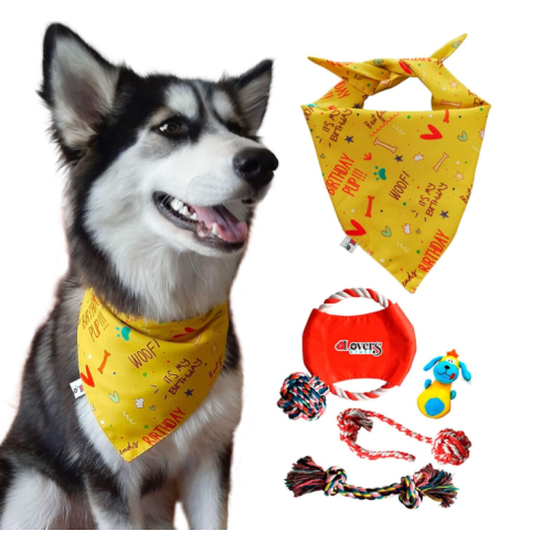 Dog Bandana Plus Set of 5 Dog Toys
