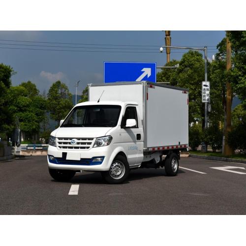 Chinese Brand Rich EC31 Electric Pickup Truck Cargo Van/ Box For Sale