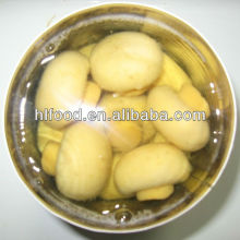 Whole Mushroom In Can