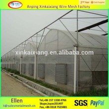 Chinese manufacturers plastic outdoor insect nets, white anti Insect nets