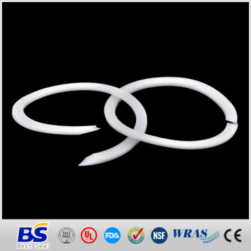 Teflon Ring Gasket