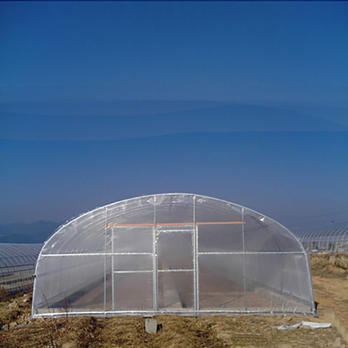 Agricultura Túnel PE Polytunnel Invernadero para la venta