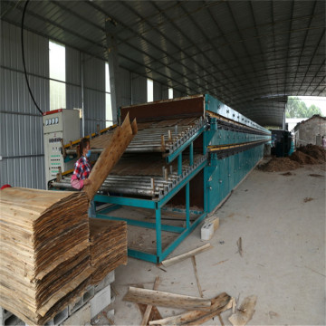 Continuous Veneer Roller Dryer Different Configurations
