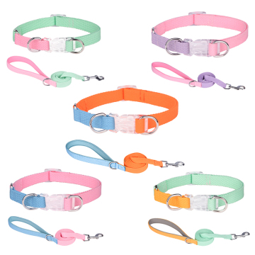 Custom Design Pet Accessories Wholesale: Leads, Harnesses, and Collars