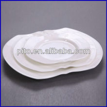 porcelain plate dishes