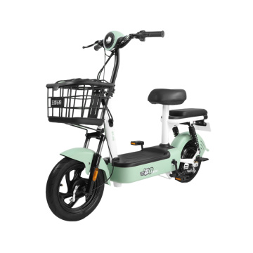 Stylish and Functional Simple Electric Bicycle