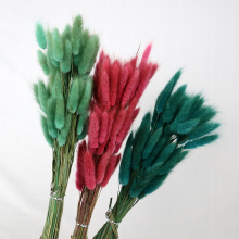 ZanTe Wholesale Dried Lagurus Ovatus Grass - 60 Heads, Vintage Colors, Rabbit Tails