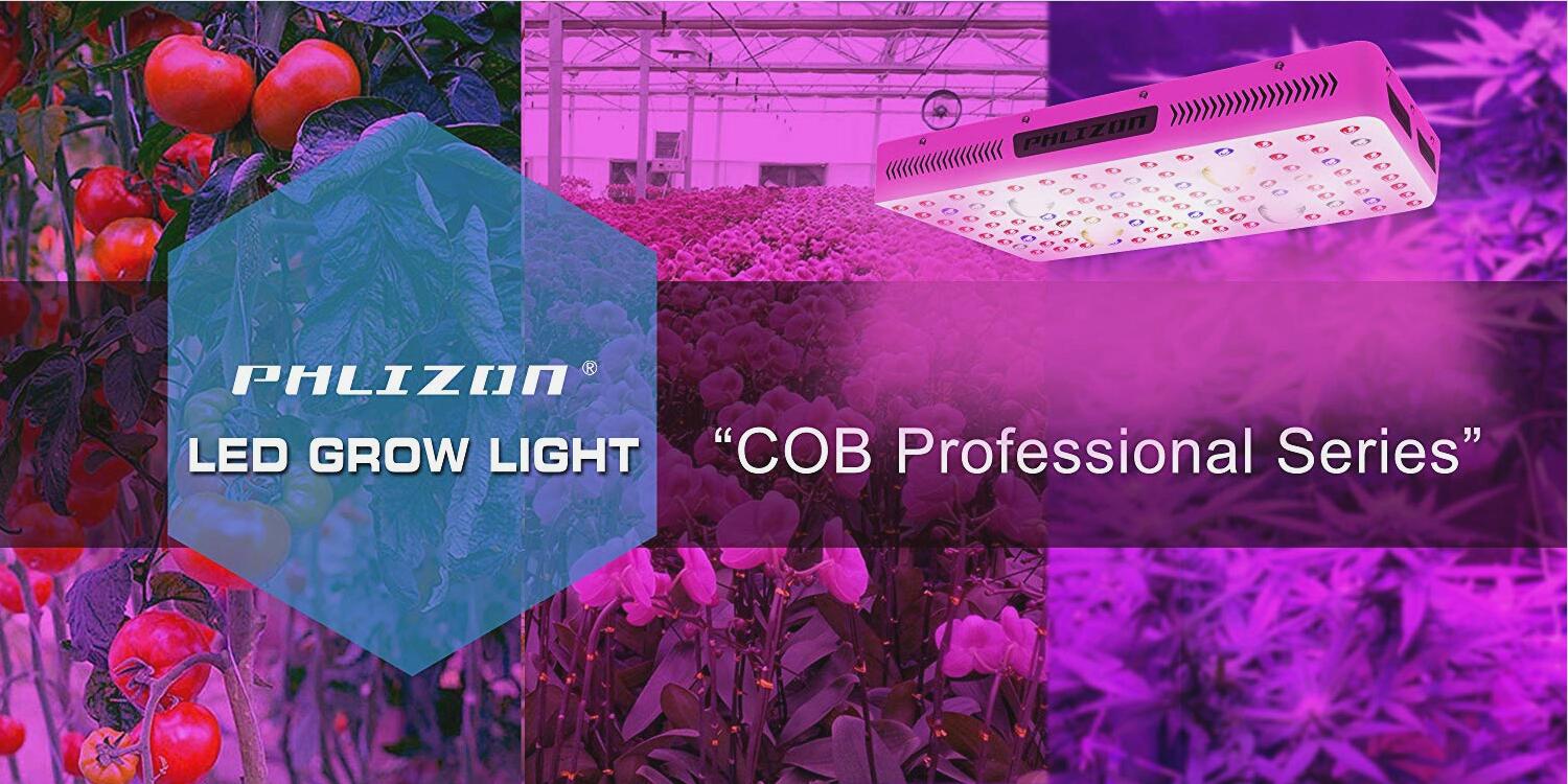 LED COB Grow Light