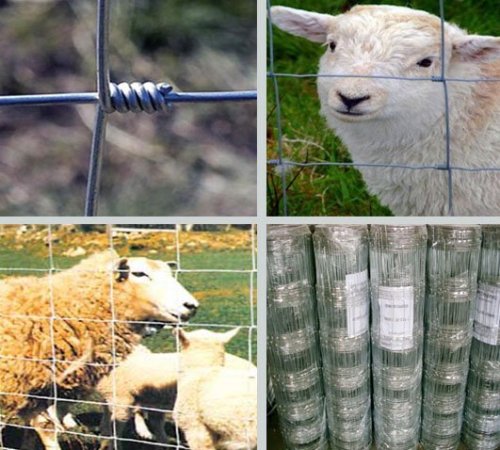 High Quality Field Fence / Cattle Fence