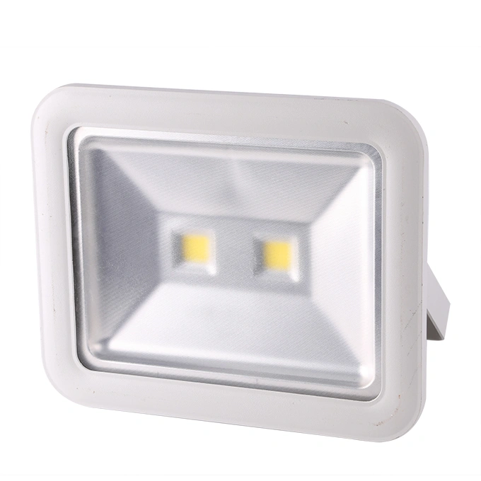 SMD/COB 60W-80W IP67 LED Flood Lighting (SLFM18)