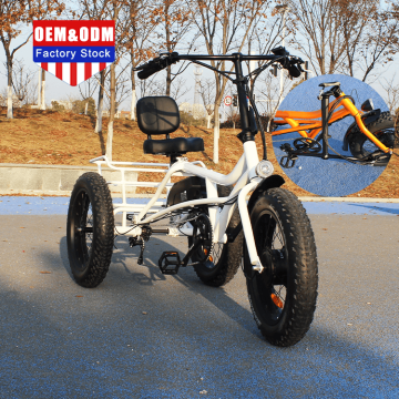 Electric Tricycle Cargo Delivery Warehouse Stock Three Wheel Ebike for Elderly
