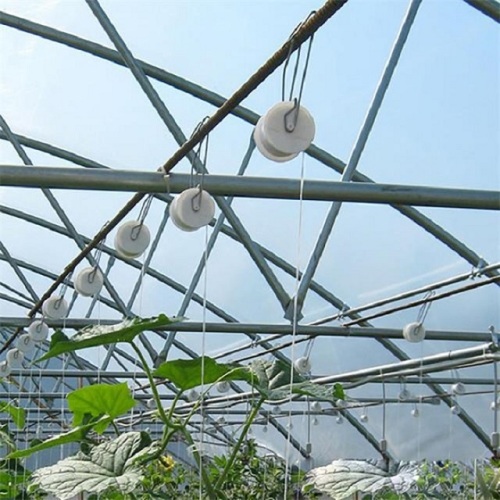 Gancho de rodillo de enrejado Cultivo de tomates