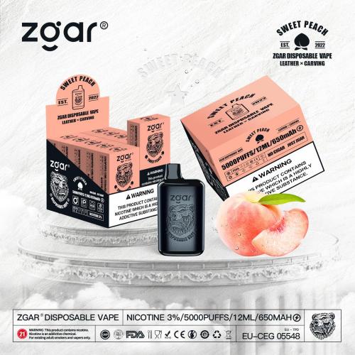 Ventes à chaud Zgar Vape Box Cigarette électronique 12 ml