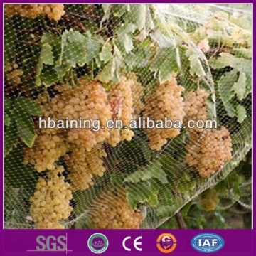 Fruit Protect Netting/Bird Netting