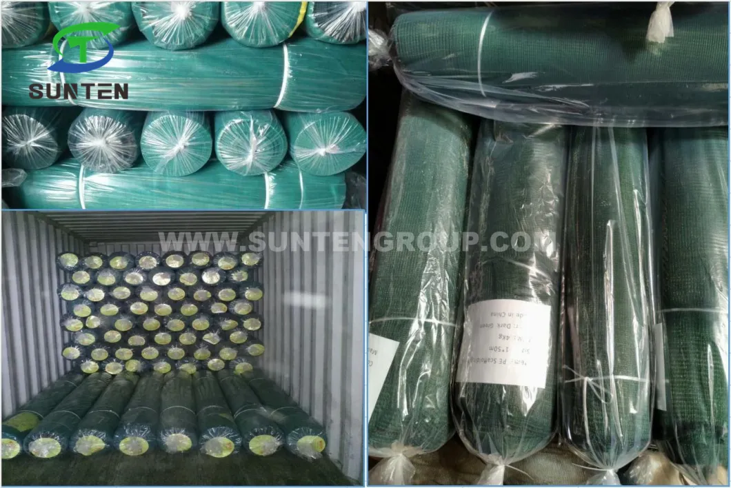 EU Standard HDPE/Plastic Coffee/Fruit/Olive Harvest/Collecting/Collection Net for Agriculture