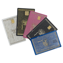 Customizable Visa Card Metal Blank (Stainless Steel) for Laser Marking