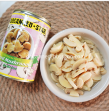 high quality canned mushroom canned