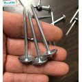 ISO9001 Fabriksförsörjning galvaniserade paraplyhuvudtak naglar