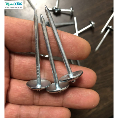 ISO9001 Factory Supply Galvanized Umbrella Head Roofing Nails