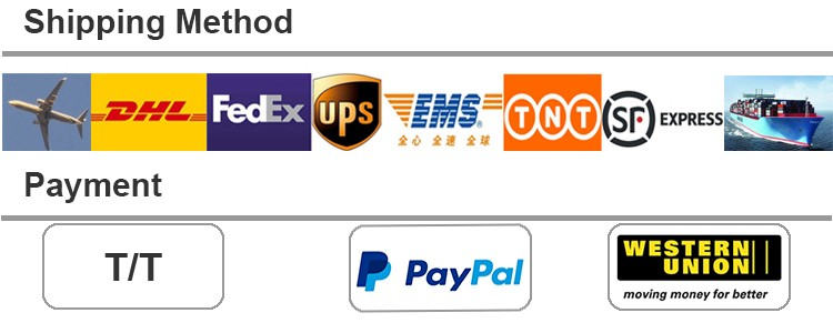 payment payment