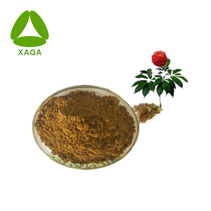 Sanchi Extract Tienchi Ginseng Powder Panax Notoginseng