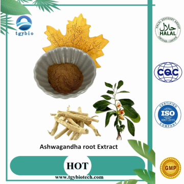 Enhance immunity 2.5% Withanolides Ashwaganda Root Extract